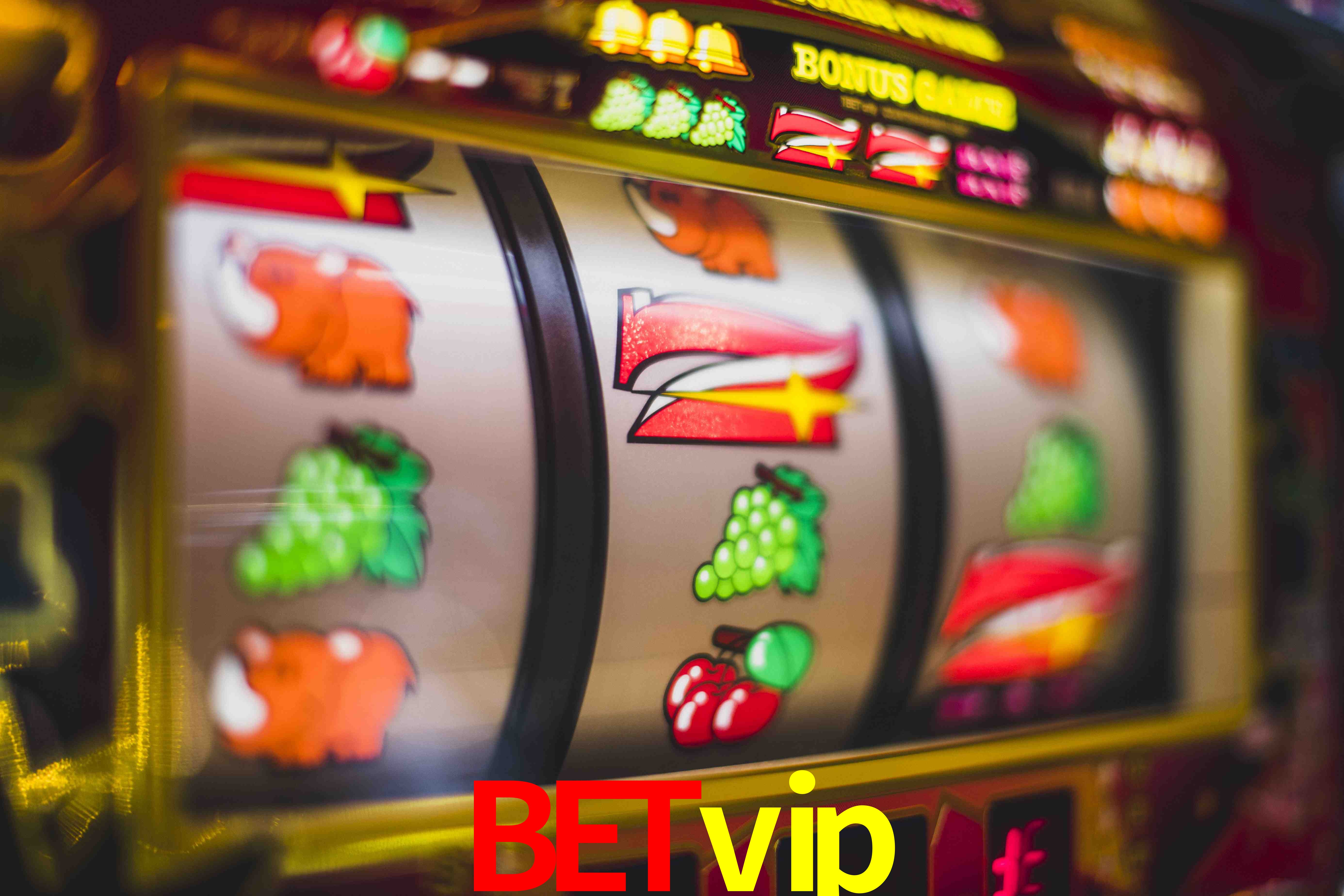 Daily Bonuses betvip